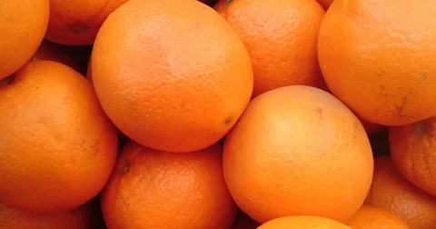 تصویر 4 از پرتقال تامسون ناول درشت با ماندگاری بالا